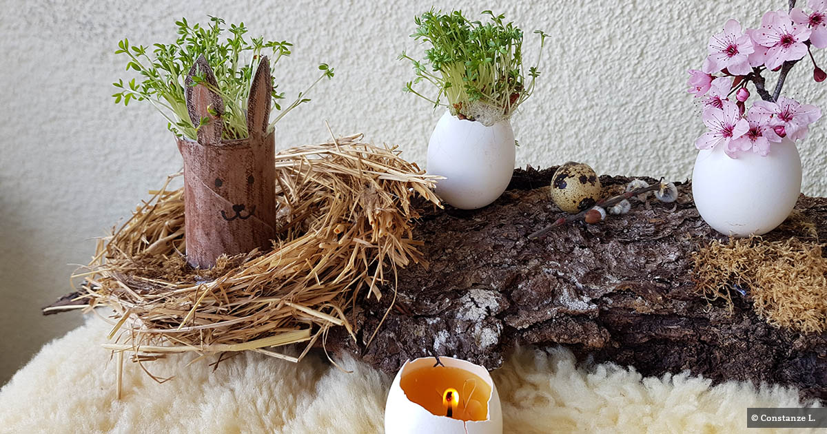 Kresse-Häschen &amp; Kresse-Eier basteln | Waschbär-Magazin