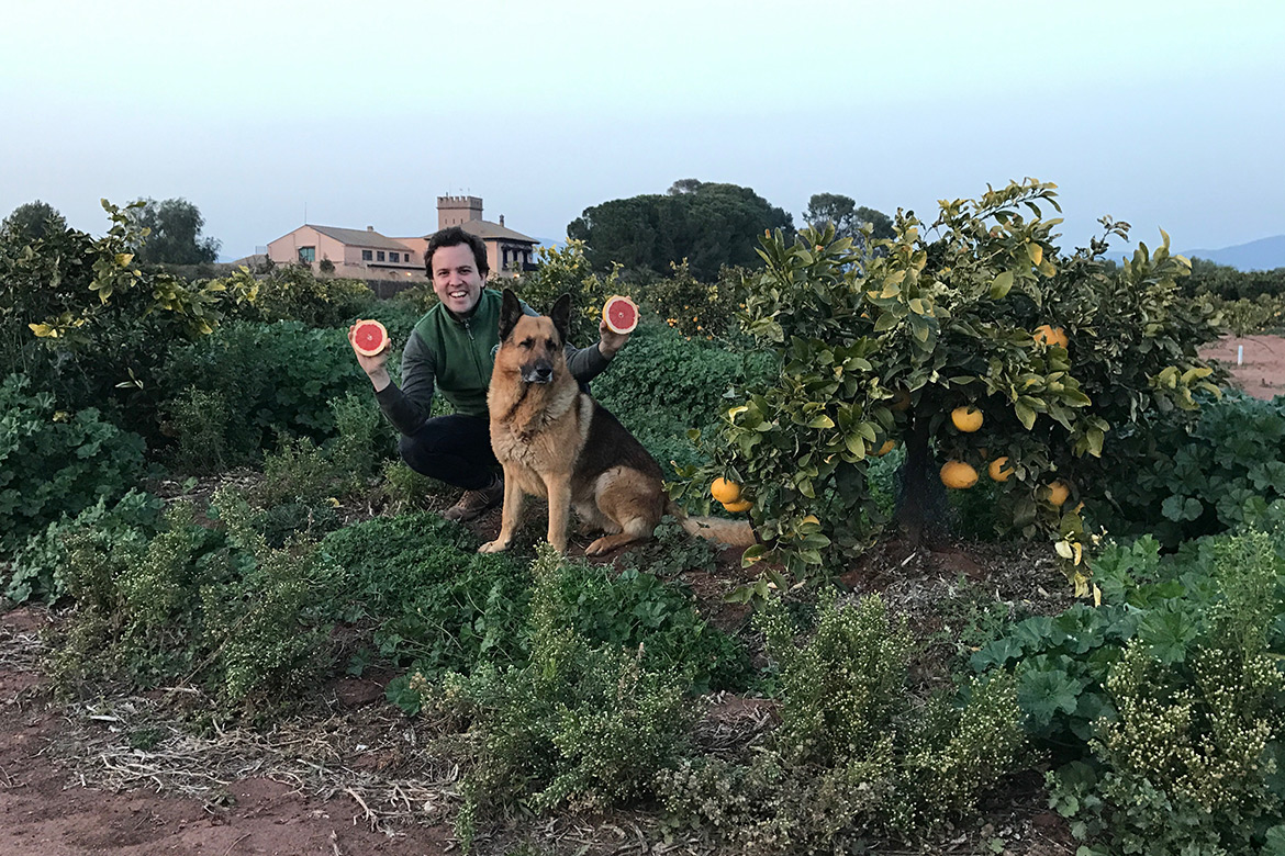Crowdfarming-Farmer auf der Grapefruit-Plantage mit Schäferhund