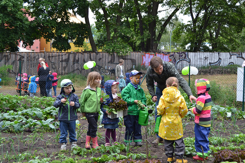 Die Kinderstehen neben dem Salatbeet und hören ihrem Lehrer zu.