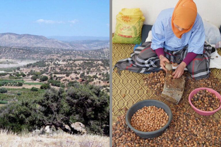 Links im Bild zieht man eine Landschaft in Marokko, rechts eine Frau die Argan-Nüsse knackt.