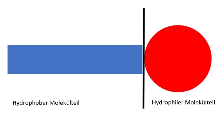 Symbolisch sind hydrophober und hydrophiler Teil eines Moleküls von Tensiden dargestellt.