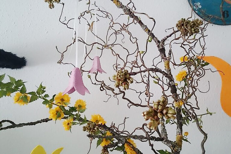 Die rosa Blüten hängen an Zweigen mit Knospen.