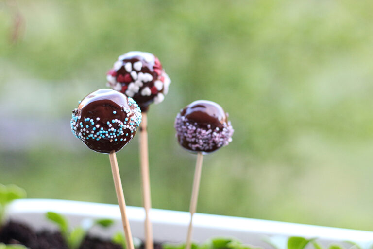 Drei Cake Pops sind mit dunkler Schokolade überzogen und stecken in einem Blumenkasten.