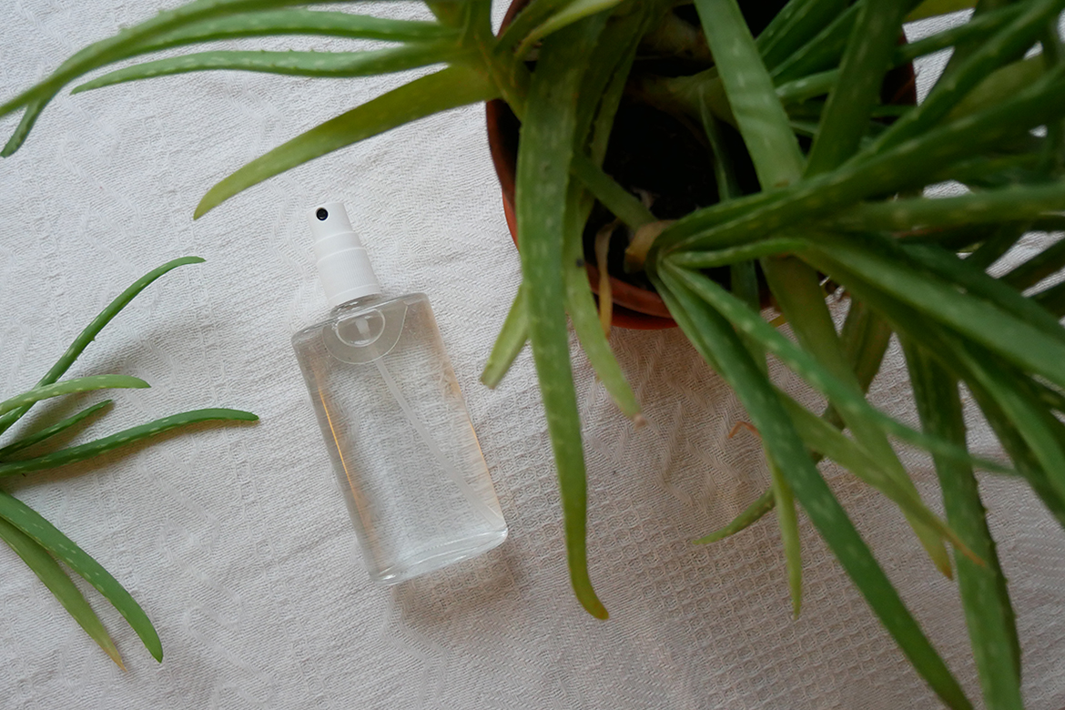 Neben der Aloe-vera-Pflanze im Tontopf liegt auf weißem Untergrund eine durchsichtige Sprühflasche mit klarem Inhalt.