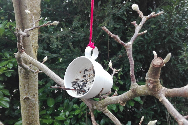 Im Baum hängt eine Tasse mit Körnern in Fett