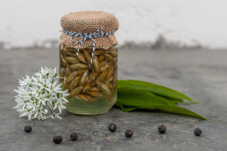 Eingelegte Bärlauchknospen in einem Glas, verziert mit einem Häubchen aus Jute und Schleife. Daneben Bärlauchblüten und -blätter sowie Wachholderbeeren.