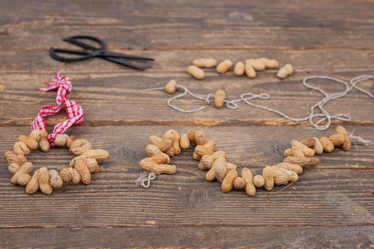 Eine Erdnusskette und ein Ring aus Erdnüssen liegen auf einem Holzbrett.