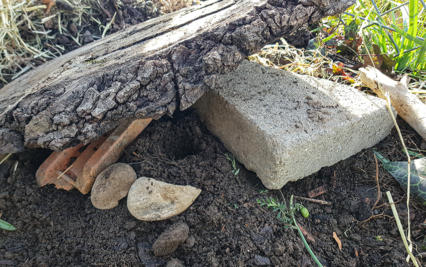 Das fertige Hummelhotel ist in die Erde eingegraben, Holz und Steine schützen den Eingang.