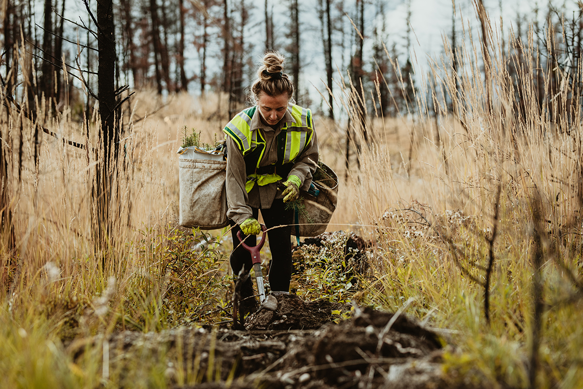 Eine Frau in Arbeitskleidung pflanzt kleine Baumsetzlinge und engagiert sich so in einem Aufforstungsprojekt.