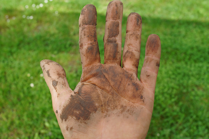 Eine mit Erde verschmierte Hand.