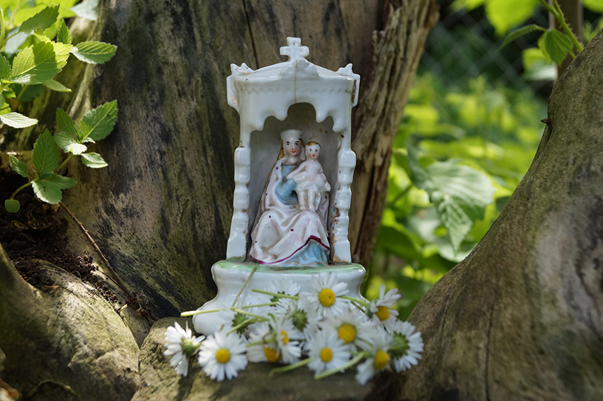 Gänseblümchen liegen vor einer Maria-Statue, die in einem Baum aufgestellt ist.