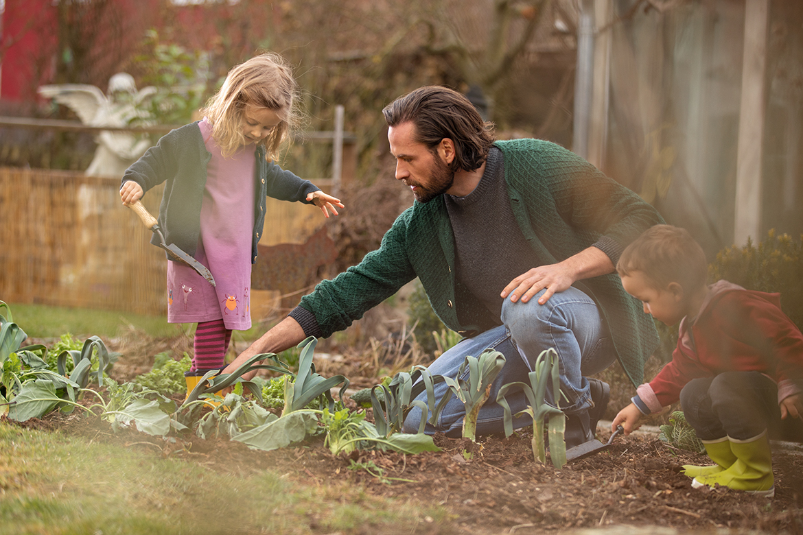 Ein Vater arbeitet mit seinen Kindern in einem Gemüsebeet.