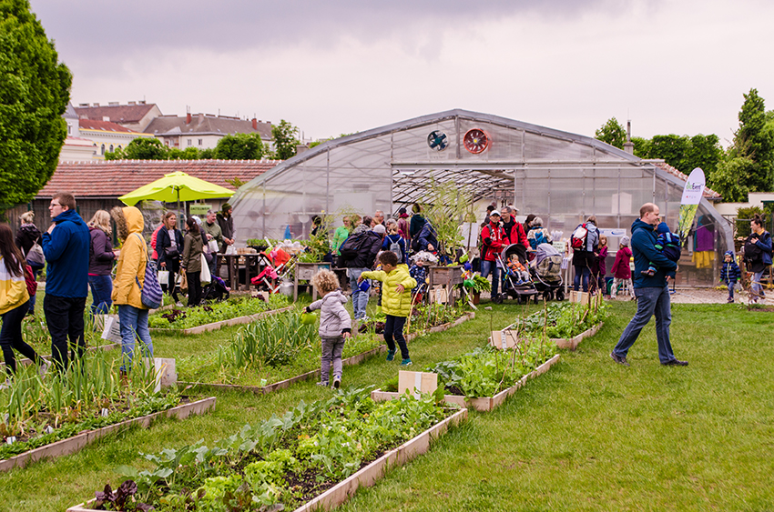 In der Urban Farming Anlage der City Farm in Wien findet ein Fest mit vielen Mensche statt.