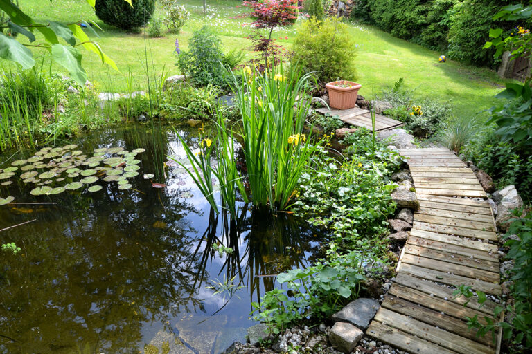 Ein kleiner Gartenteich, auf dessen Seite ein Holzsteg entlangführt.