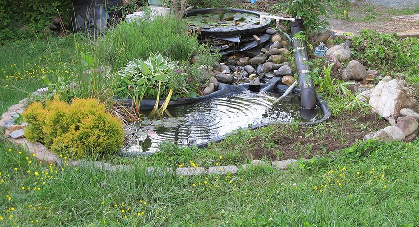 Ein kleiner Gartenteich besteht aus einem fertigen Teichbecken, um welches einige Pflanzen wachsen.
