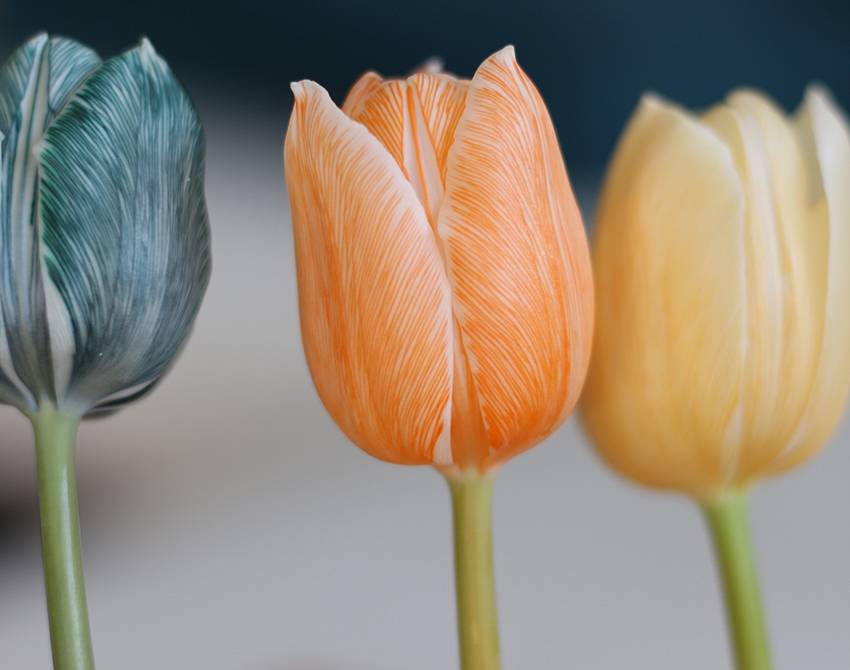 De bladnerven van de gekleurde tulpen zijn duidelijk te herkennen. 