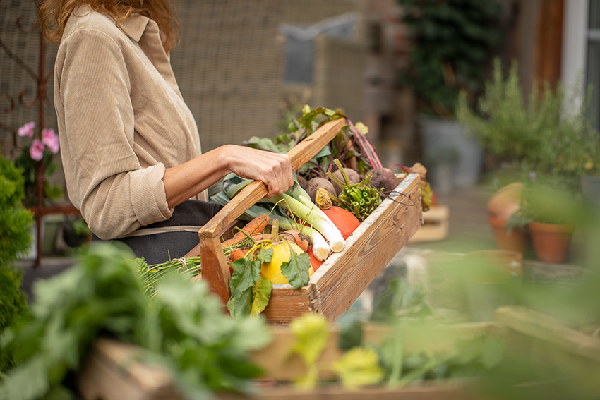 Eine Frau hat in einem Holzkorb die Gemüsernte aus ihrem Garten dabei.