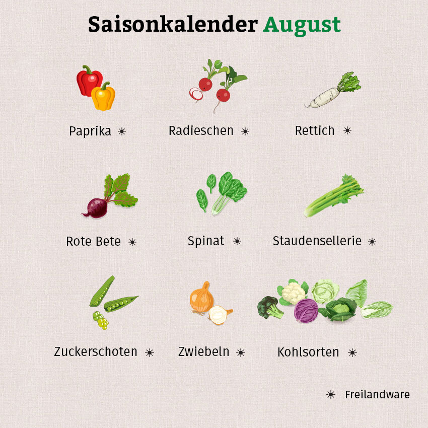 Sowohl Obst- als auch Gemüsesorten sind im Saisonkalender August in der Grafik zu sehen. 