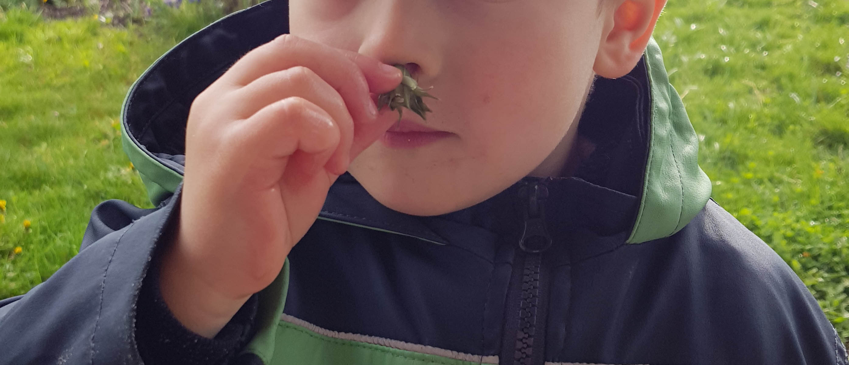 Der kleine Junge riecht an einer Pflanzenknospe.