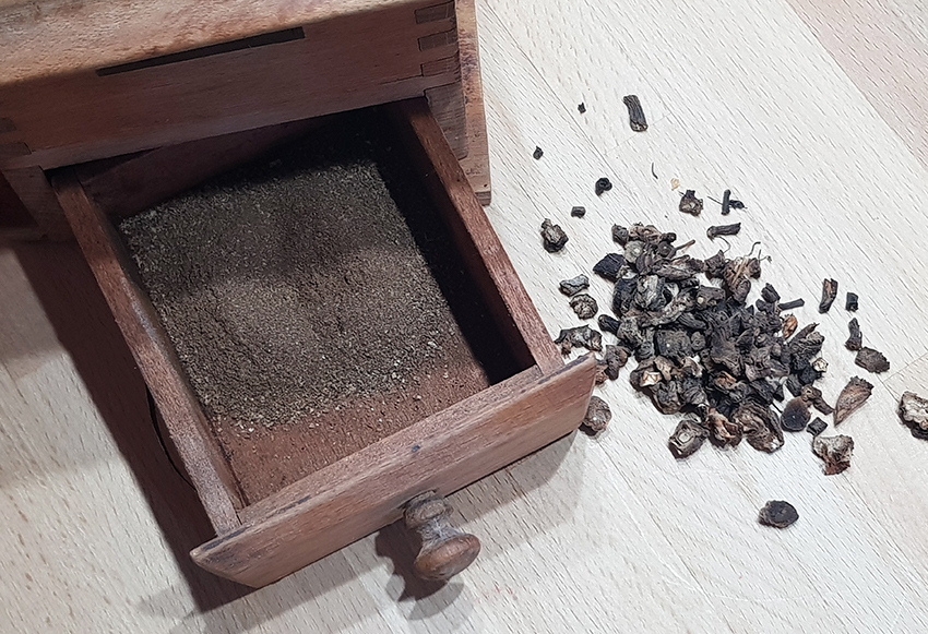 Getrocknete Löwenzahn-Wurzeln liegen auf neben einer Kaffeemühle, in der die Wurzeln für den Löwenzahn-Kaffee gemahlen wurden.