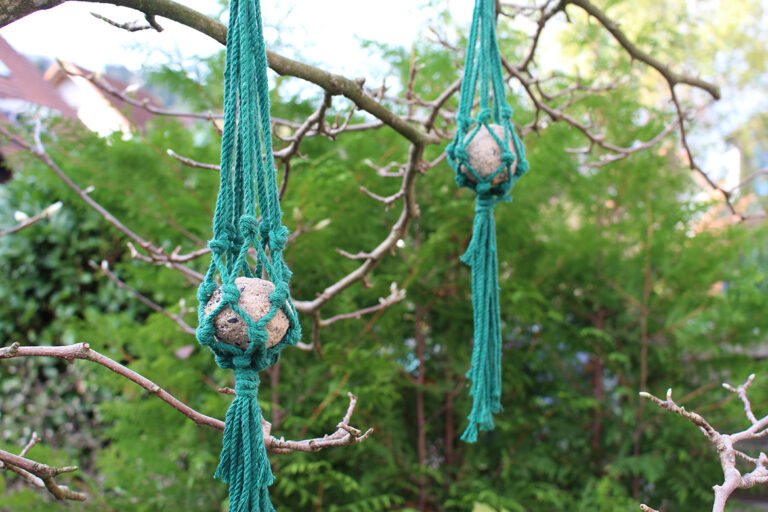 Zwei Halter für Meisenknödel hängen mit Meisenknödeln befüllt in einem Baum.