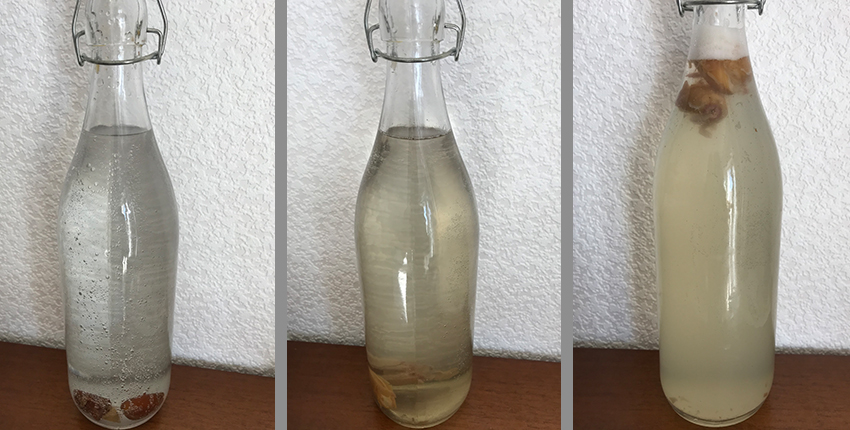 Drei Bilder der gelichen Perspektive auf die Flasche mi Wasser, Dattel und Zucker befüllt. Es wird trüber.