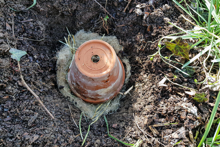 Ein Tontopf wird mit Stroh befüllt in ein Erdloch gesetzt, das mit Steinen und Holzwolle ausgekleidet ist.