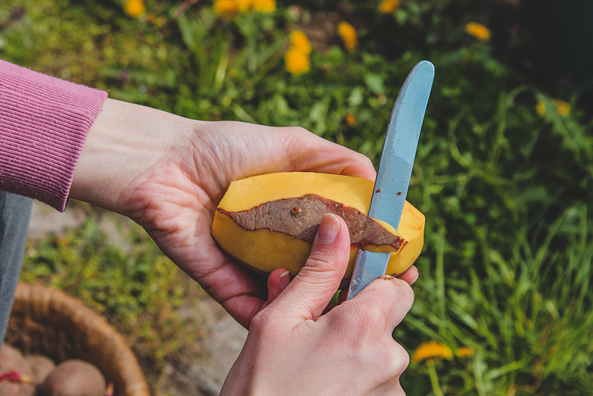 Kartoffel wird auf einer Wiese mit einem Messer geschält.