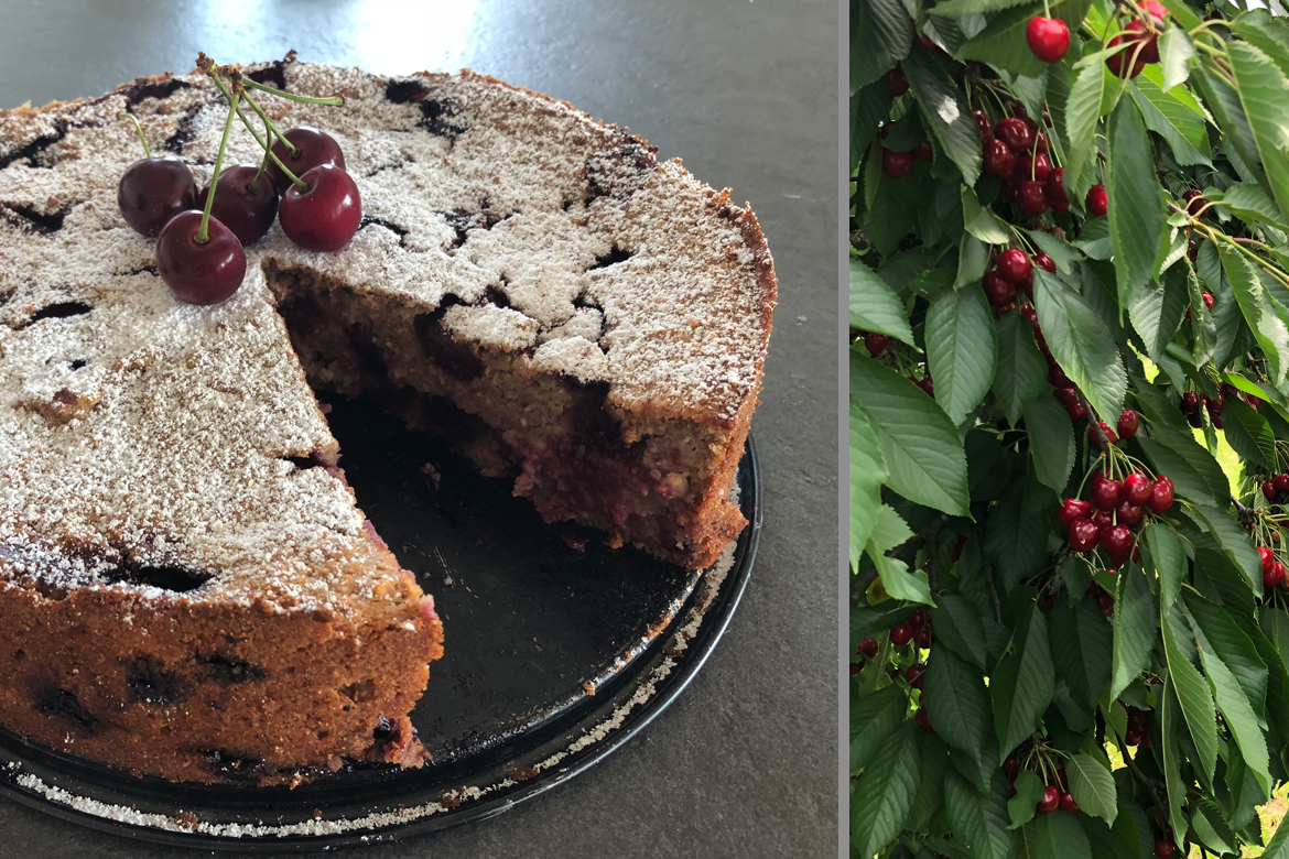 Links im Bild ist der angeschnittene Kuchen zu sehen, rechts ein reich behangener Kirschbaumast