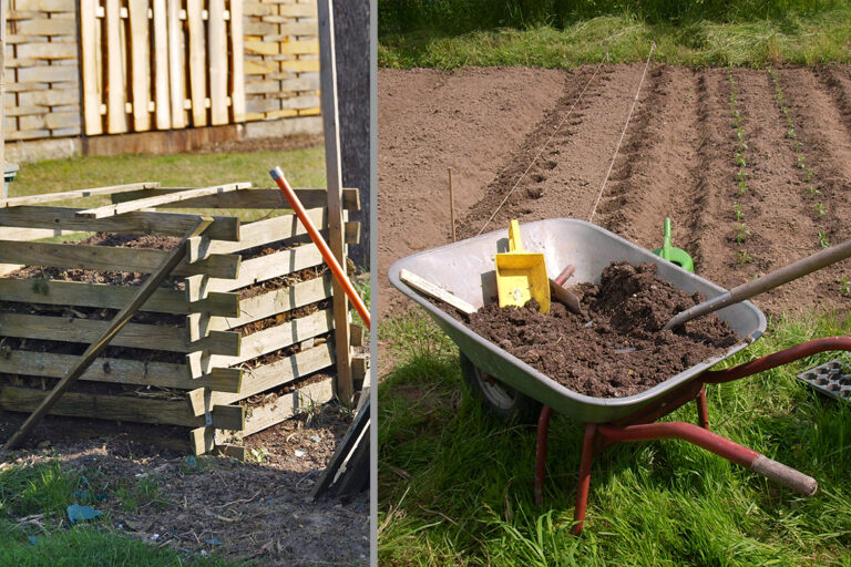 Links im Bild: Ein Kompost mit Holzplanken. Rechts eine Schubkarre mit Humus vor einem Beet.