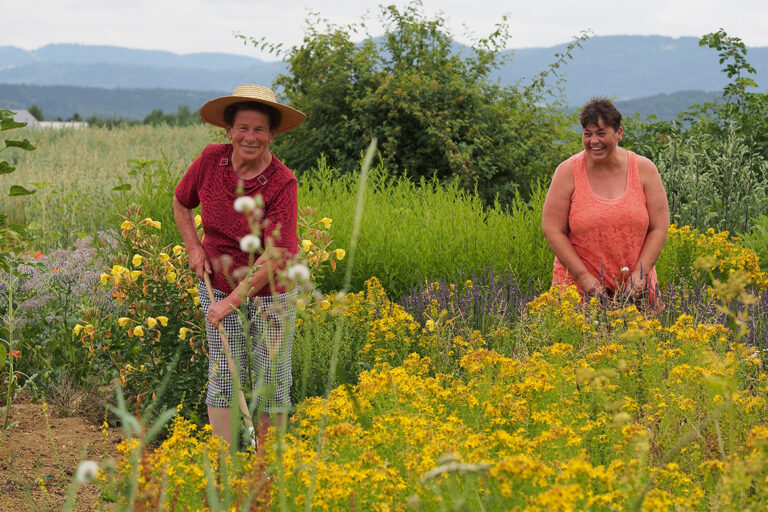 Zwei Kräuterfrauen arbeiten in einem blühenden Kräutergarten.