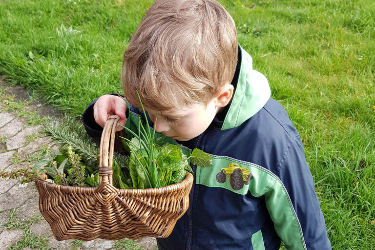 Der kleine Junge steckt seine Nase tief in das Körbchen voller Kräuter