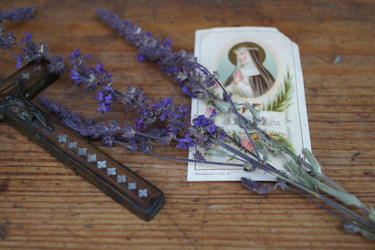 Ein Blutweiderich liegt neben einer Marienkarte und einem Kreuz.