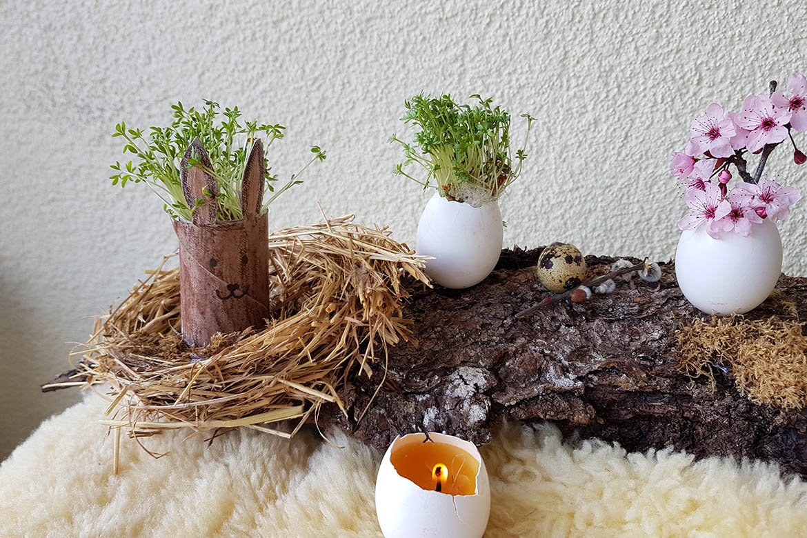 Ein braunes Kresse-Häschen sitzt in einem Nest, daneben sind drei Eierschalen drapiert, eine als Kerze, eine mit KResse und eines mit Kirschblüten.