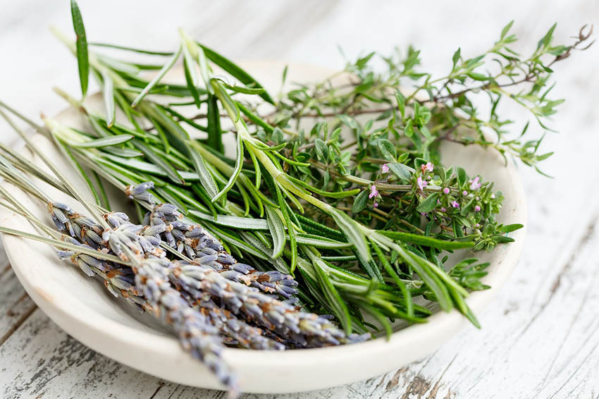 Lavendel, Rosmarin und Thymian in einem weißen Teller