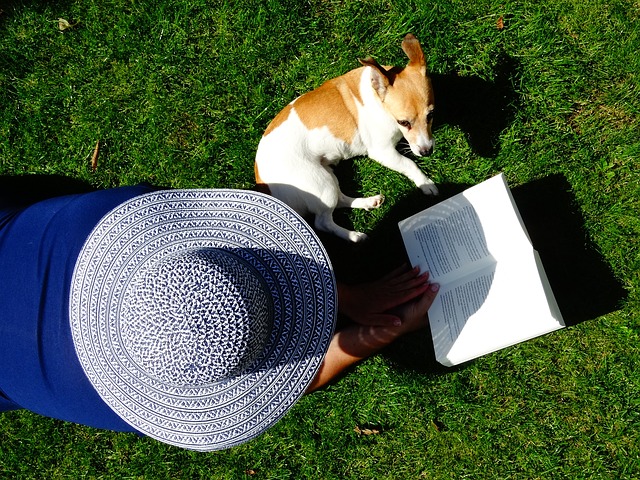 Frau und Hund liegen in der Wiese - sie liest ein Buch.