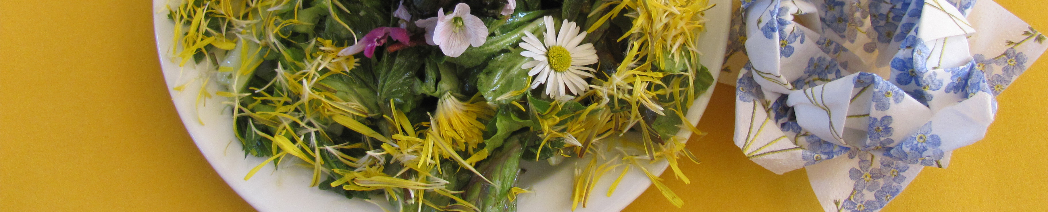 Der Teller ist im Bildausschnitt stark angeschnitten, begleitet wird der Salat durch eine kunstvoll zur Blume gefaltete Serviette.