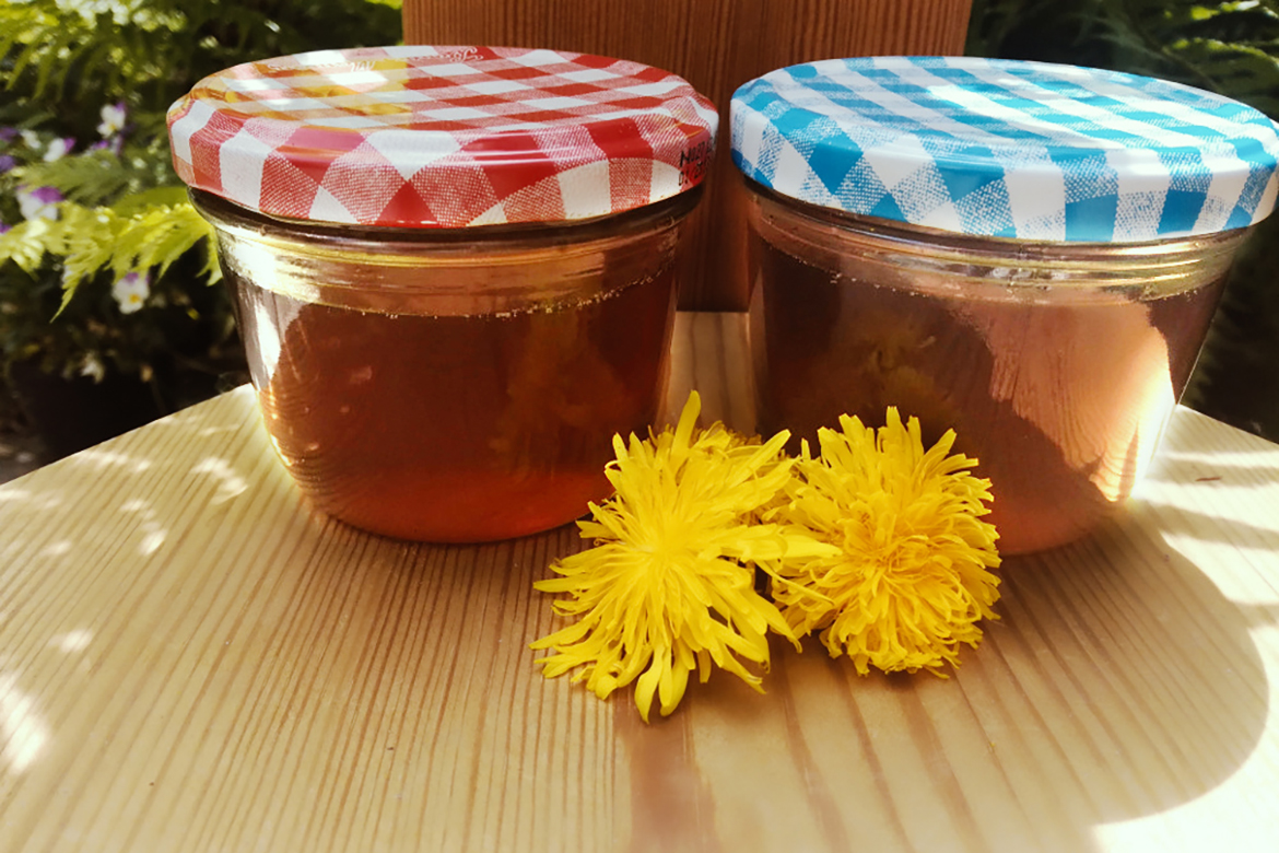 Zei Gläaser mit hellbraunem Sirup werden von Löwenzahnblüten begleitet.