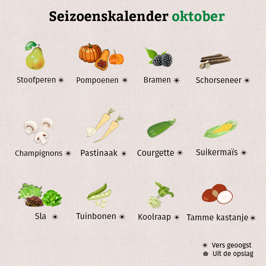 Op de seizoenskalender van oktober staan stoofperen, pompoenen, tamme kastanjes, schorseneren en nog veel meer.