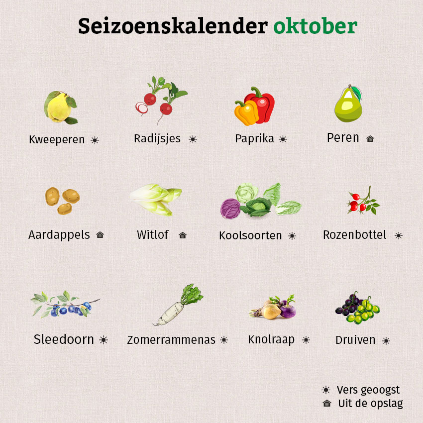 De afbeelding laat zien welke groenten en fruit in oktober seizoen hebben.