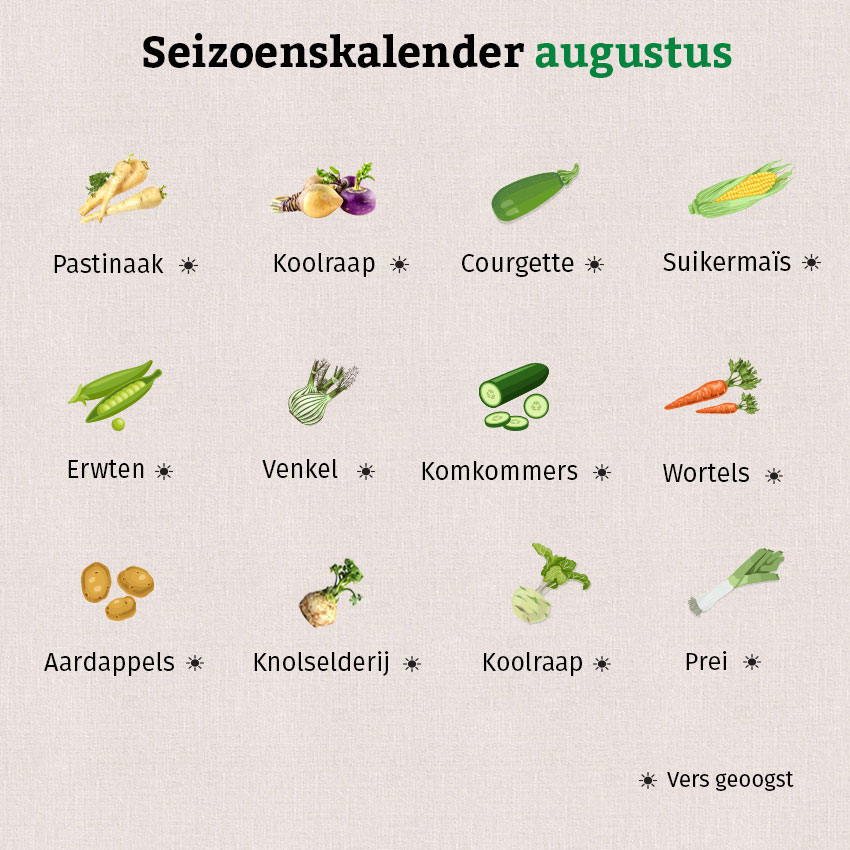 Er staan veel regionale groenten op de seizoenskalender van augustus.