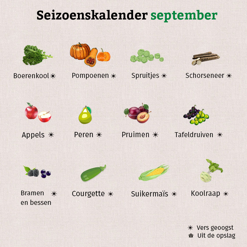 De grafiek toont een selectie van groenten en fruit uit de seizoenskalender van september.