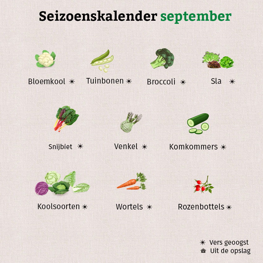 Uit de grafiek blijkt dat het regionale aanbod van groenten en fruit in september nog steeds zeer groot is.