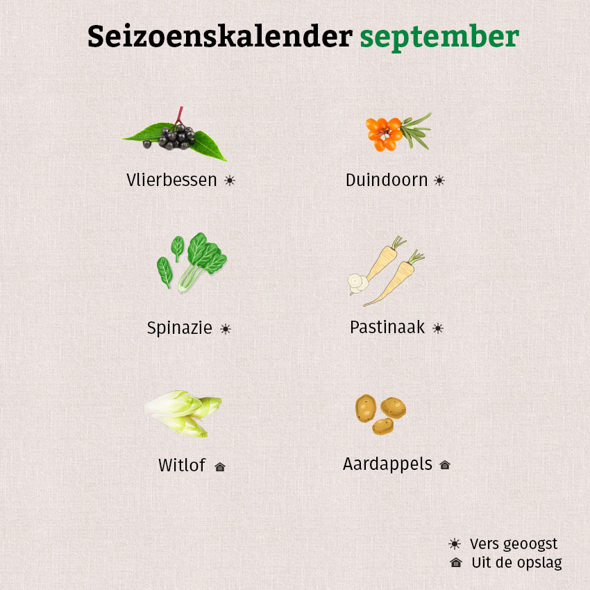 De grafiek laat zien dat je in september onder andere vlierbessen en duindoorn kunt oogsten.