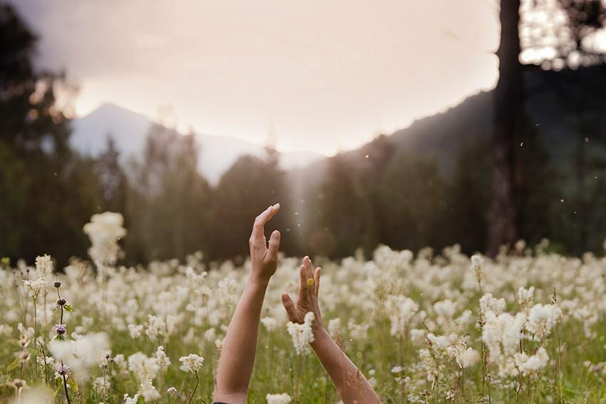 Ein Mädchen liegt für ein kleines Mikroabenteuer in einer Blumenwiese mit vielen weißen Blumen.