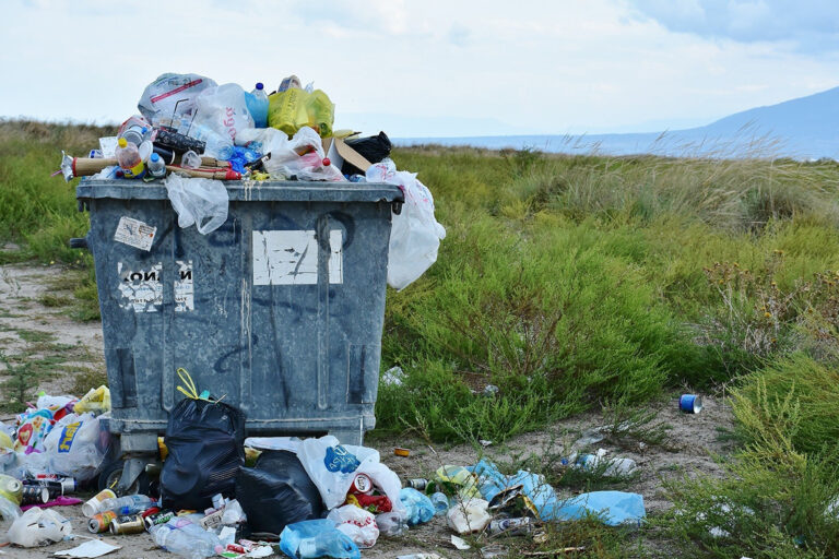 Müllvermeidung hilft, dass die große Mülltonne mit überquillendem Müll auf der Wiese nur halb so voll wird.