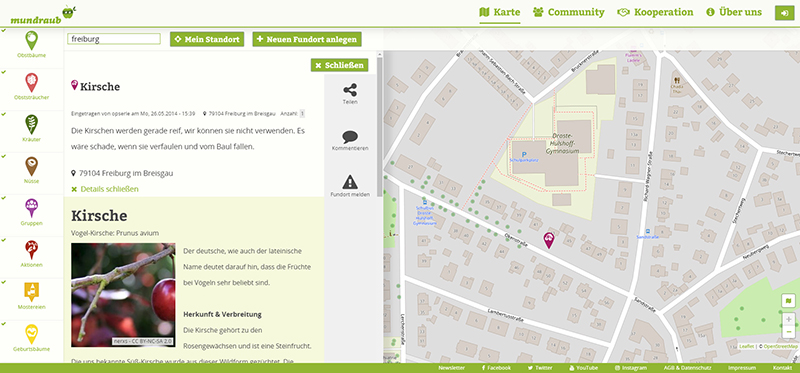 Rechts inst der Stadtplan mit eingezeichnetem Kirschbaum zu sehen, links Erläuterungen zur Kirsche.