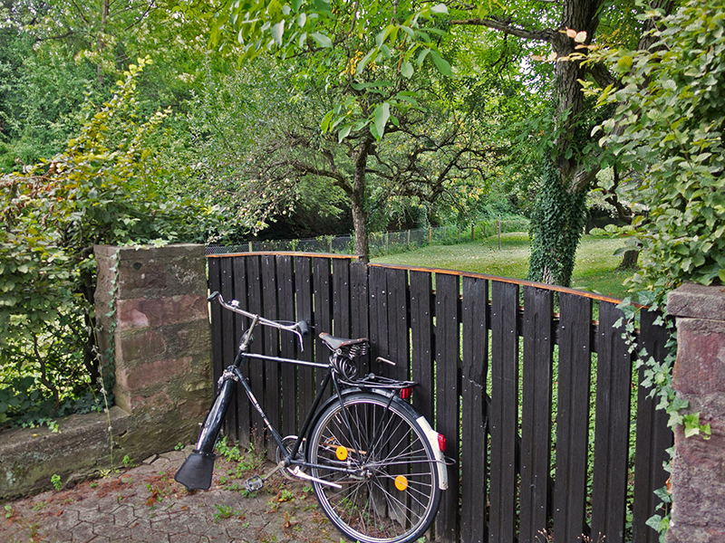 Das Fahrrad lehnt am Zaun und dahinter sieht man den ersehnten Apfelbaum