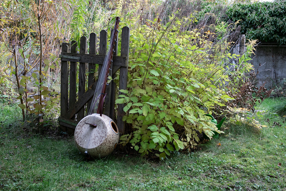 Ein Naturinstrument lehnt in einem Garten an einem kleinen Gartentor aus Holz.