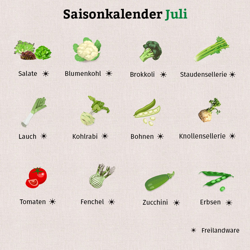 In der Grafik ist Gemüse abgebildet, das im Juli aus Freilandanbau erhältlich ist.